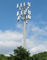 Tower